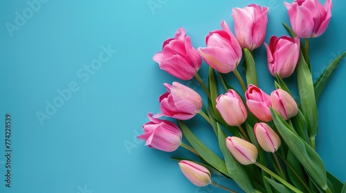 Pink tulips bouquet on blue background. Holiday background, copy space for text. Valentine Day, Mothers day, birthday concept © Naeem