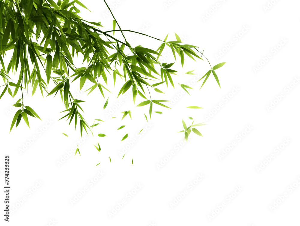 Serene Green Bamboo Leaves on a Pristine White Background Serene Green Bamboo Leaves on a Pristine White Background