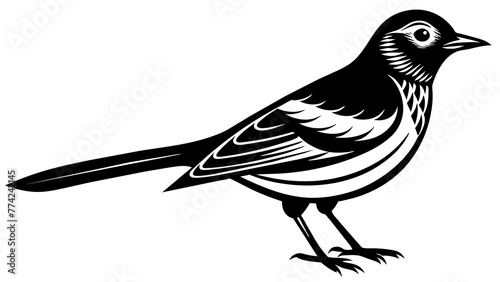 Elegance of Bird Silhouette Art Nature's Beauty Captured in Shadows