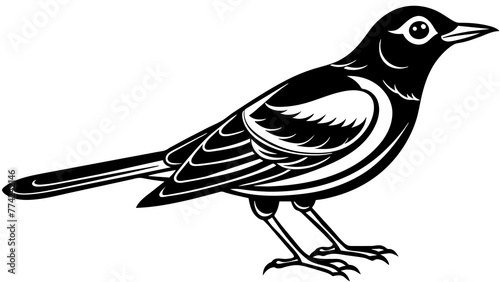 Elegance of Bird Silhouette Art Nature's Beauty Captured in Shadows