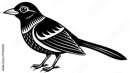 Elegance of Bird Silhouette Art Nature's Beauty Captured in Shadows