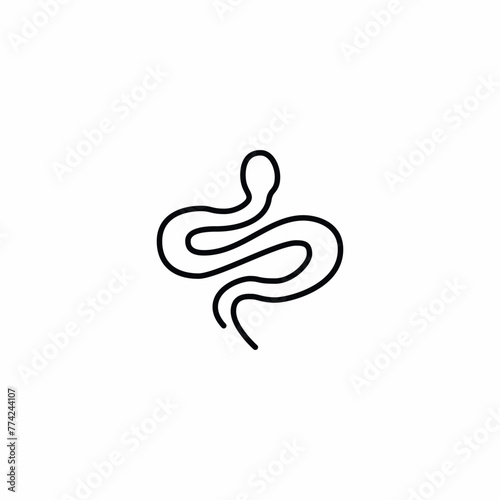 Snake Reptile Venom Animal icon