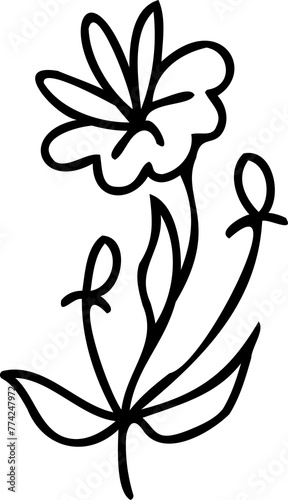 Line art flower illustration with black thin line and transparent background