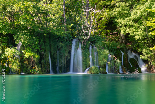 Fototapeta Naklejka Na Ścianę i Meble -  Naturwunder Plitvicer Seen in Kroatien, leuchtend türkises Wasser 