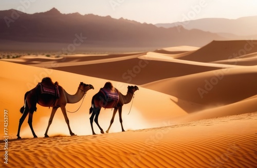 Camels walk through a desert landscape on a hot day
