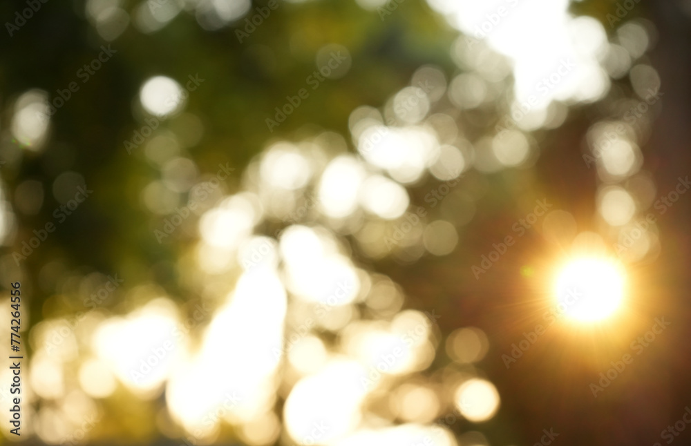 Beautiful blurry soft yellow, green sparkling sunlight bursting through orange spring summer defocused branches of old red, brown trees growing outside. sunrays beams