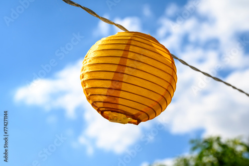 Orange colored lampion hanging in a garden  in front of blue sky.