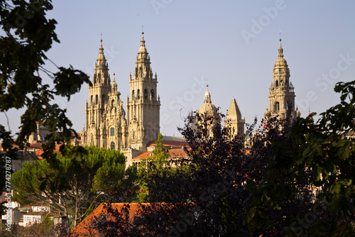 Panoramic view of Santiago s Cathedral  Galicia  Spain