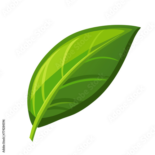 Green spring leaf art drawn on white background