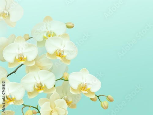 Lemon Orchid Turquoise gradient background barely noticeable thin grainy noise texture  minimalistic design pattern backdrop 