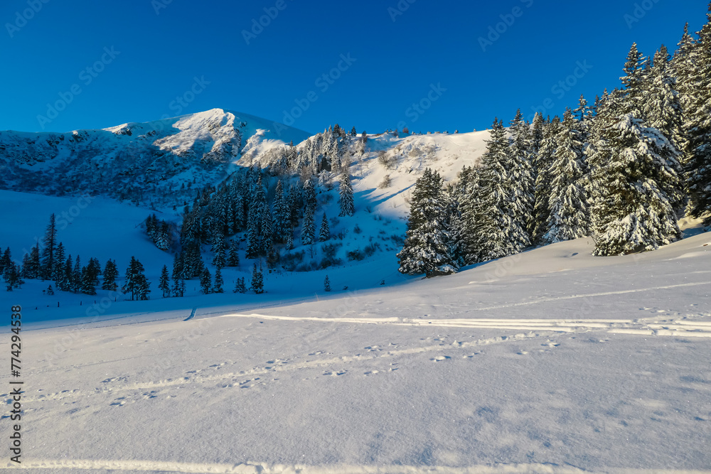 Idyllic forest with panoramic view of snow capped mountain peaks of Kor Alps, Lavanttal Alps, Carinthia Styria, Austria. Winter wonderland in Austrian Alps. Tranquil serene atmosphere in remote nature