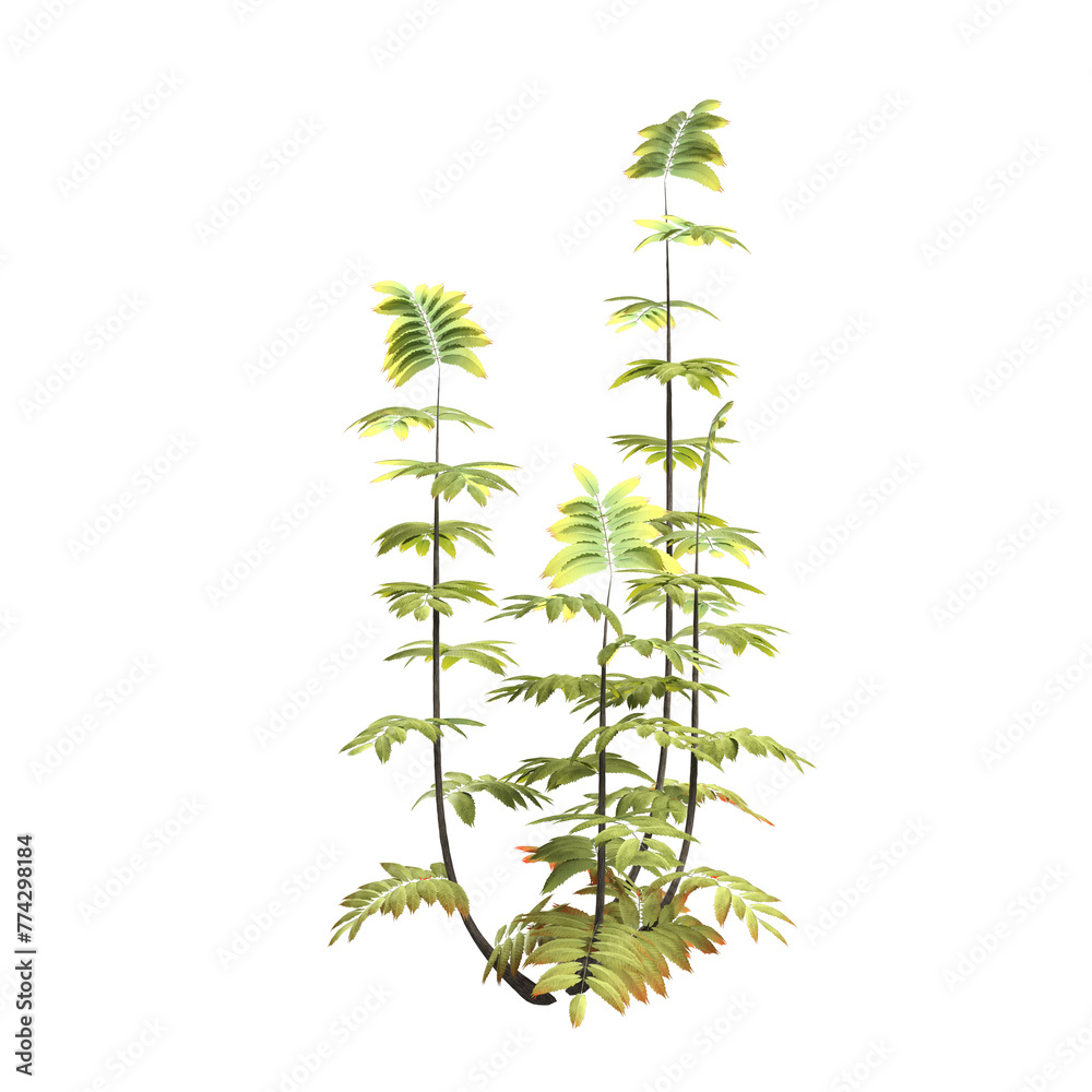 3d render green leaf bush fine isolated