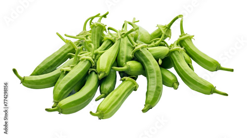 A bountiful pile of vibrant green beans on a pristine white background