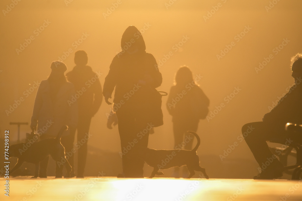 Fototapeta premium silhouettes of people