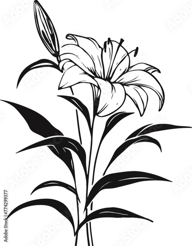 drawing of a lily in one color line in vector style