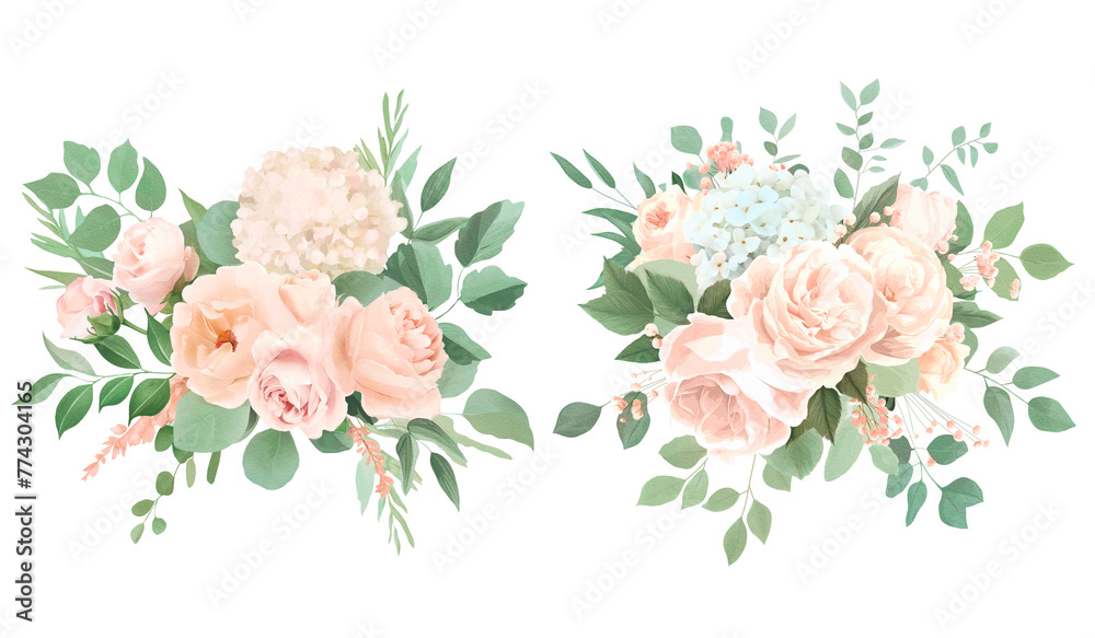 Set of pastel cream roses and hydrangea bouquet with green leaves on a transparent background.