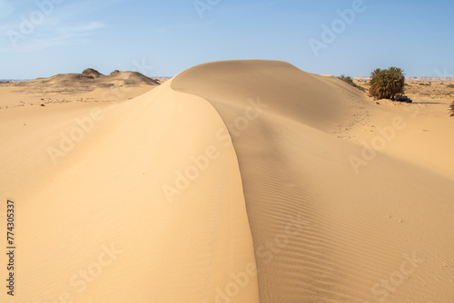 La gran duna