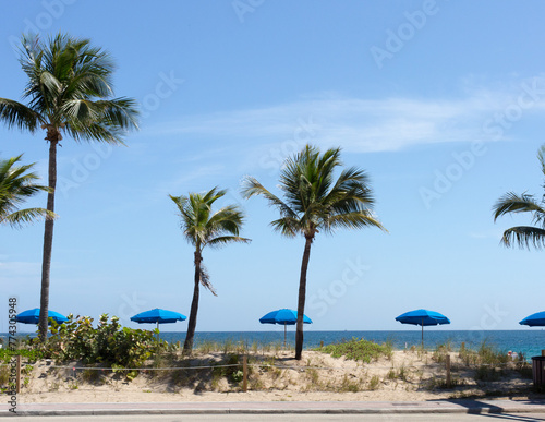 palm trees blowing in the wind on a southern beach with beach grass in the sand
