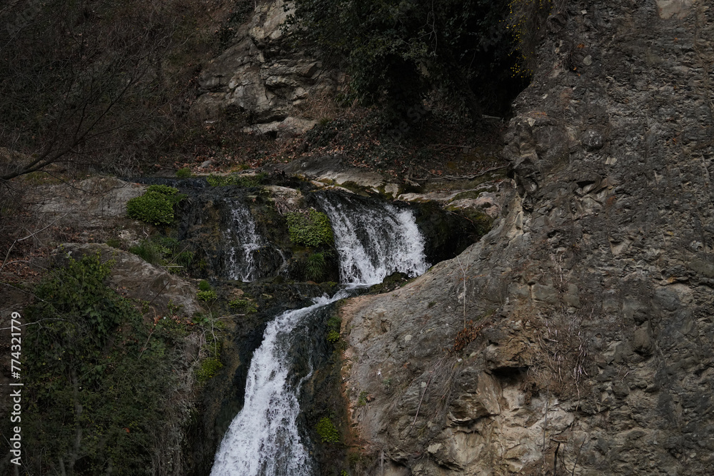 Obraz premium Beautiful waterfall in the botanical garden in Georgia, Tbilisi,сloseup of the water flowing over rocks 