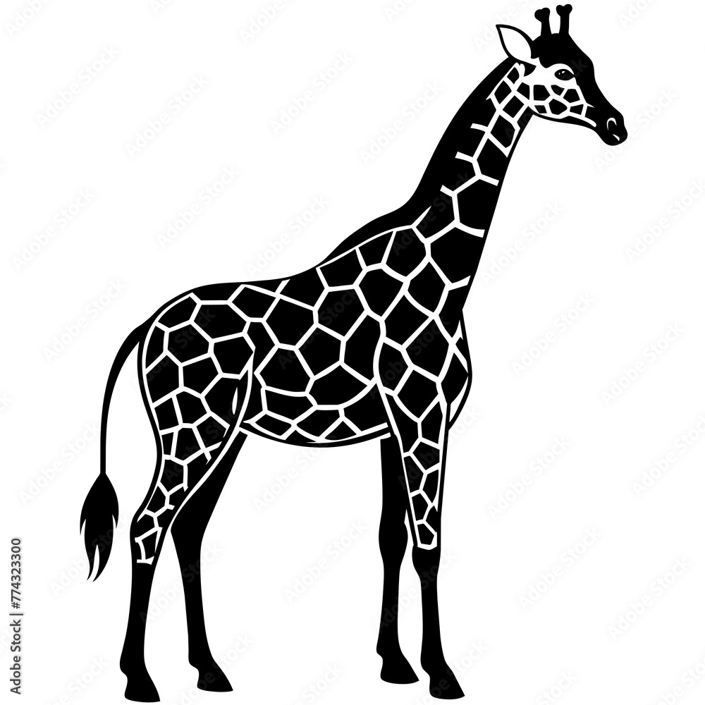 Fototapeta premium zebra silhouette vector illustration svg file