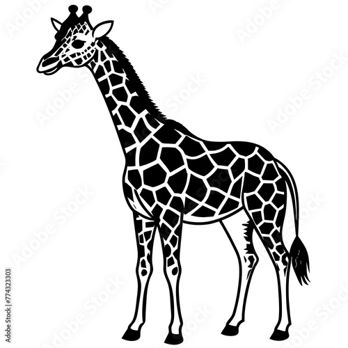 zebra silhouette vector illustration svg file