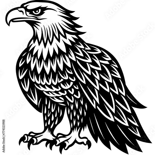 eagle silhouette vector illustration svg file