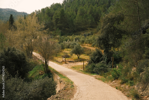 Paved road between mountains with trees along the path.