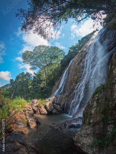 Lush Jungle Waterfall Cascading into a Rocky Pool