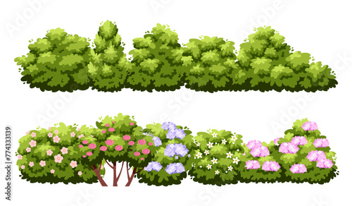 Cartoon green hedge. Decorative bush borders isolated on white background, garden flowering plants, roses and lilacs, beautiful shrubby trees, summertime park botanical decor, vector concept photo