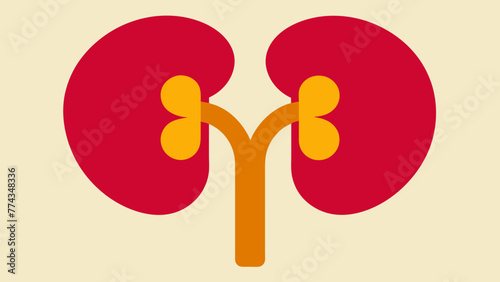 Optimizing Health Human Kidneys Vector Illustration 