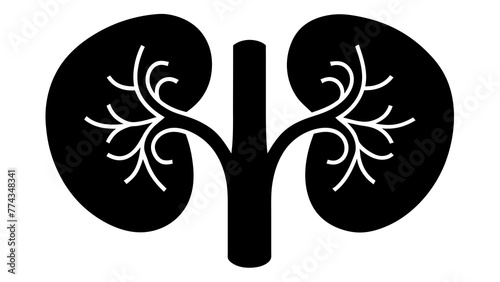 Optimizing Health Human Kidneys Vector Illustration 