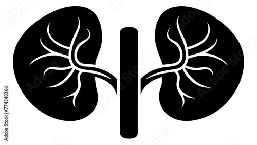 Optimizing Health Human Kidneys Vector Illustration 