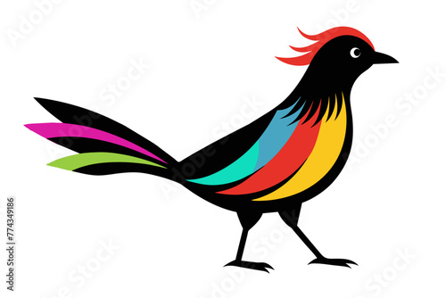 silhouette color image,Feathers bird ,vector illustration,white background