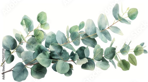 Eucalyptus Plant in White Background with Paint-style Art Generative AI