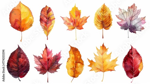 Autumn Leaf Watercolor Collection on White Background Generative AI