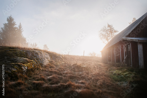 landscape in the morning in sweden