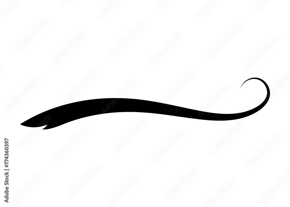 Swoosh typography text tail shape. Calligraphic decoration swish symbol. Retro underline, black stroke or ornament design vector illustration Swoosh typography text tail shape. Calligraphic decoration swish symbol. Retro underline, black stroke or ornament design vector illustration