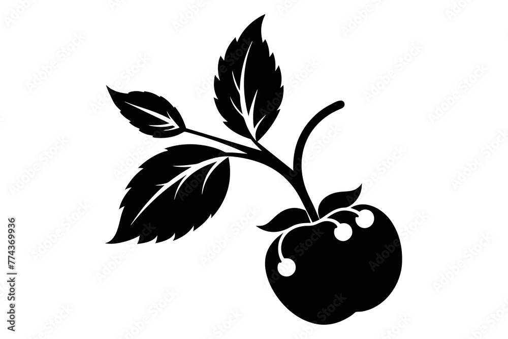 silhouette image,Berry,vector illustration,white background silhouette image,Berry,vector illustration,white background