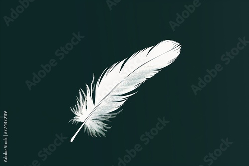 A solitary feather against a dark backdrop exudes calm and simplicity, perfect for themes of peace, purity, and minimalism.