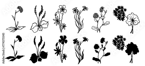 Set of botanical elements, sketches and silhouettes of wild herbs, wildflowers, plants, dried flowers, leaves. Vector graphics. © Екатерина Якубович