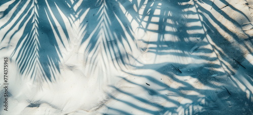 Top view of tropical leaf shadow on water surface. Shadow of palm leaves on white sand beach. Beautiful abstract background concept banner for summer vacation at the beach photo