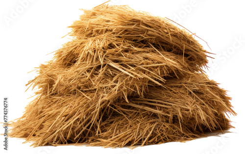 A mound of golden hay rests atop a pristine white floor