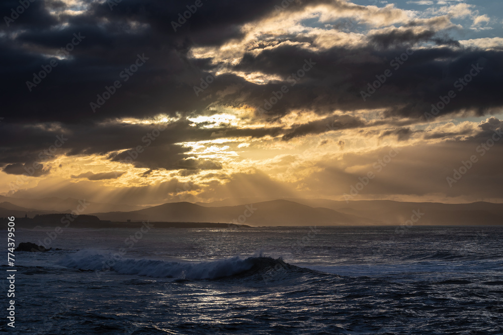 Obraz premium Nature never stops surprising me!