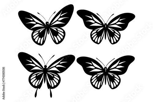 butterfly vector illustration