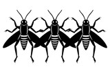 grasshopper vector illustration