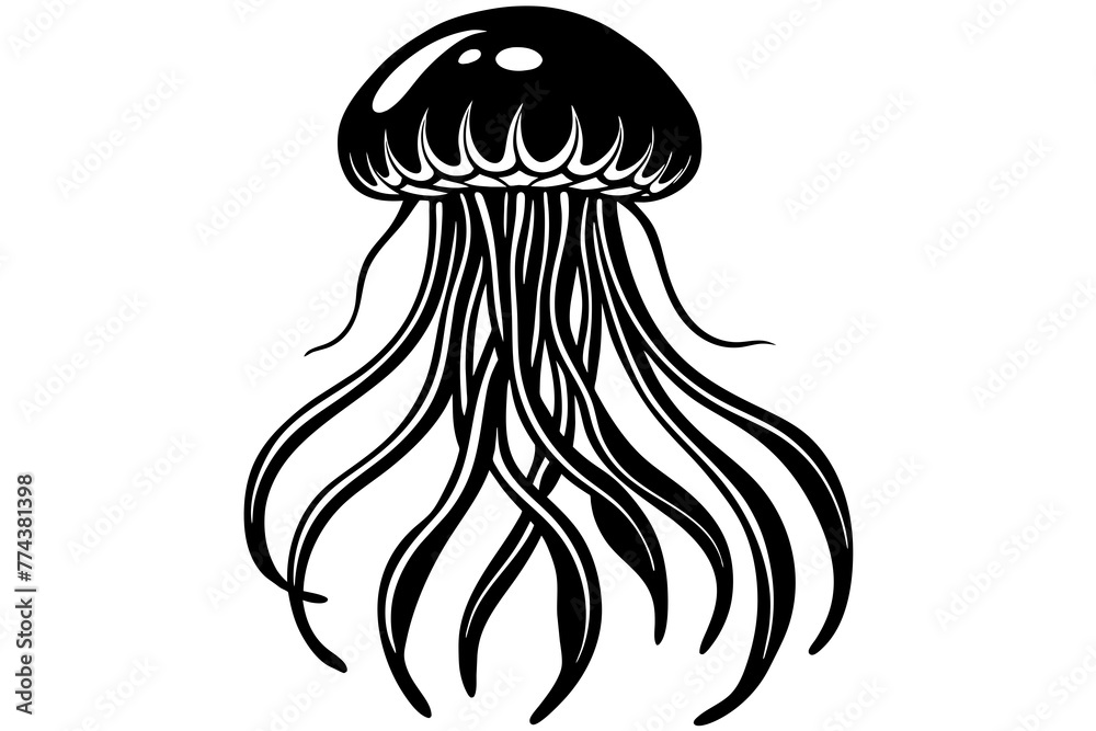 jellyfish vector illustration jellyfish vector illustration