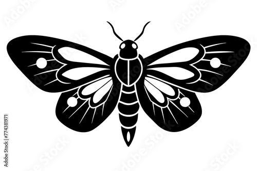 moth silhouette vector illustration