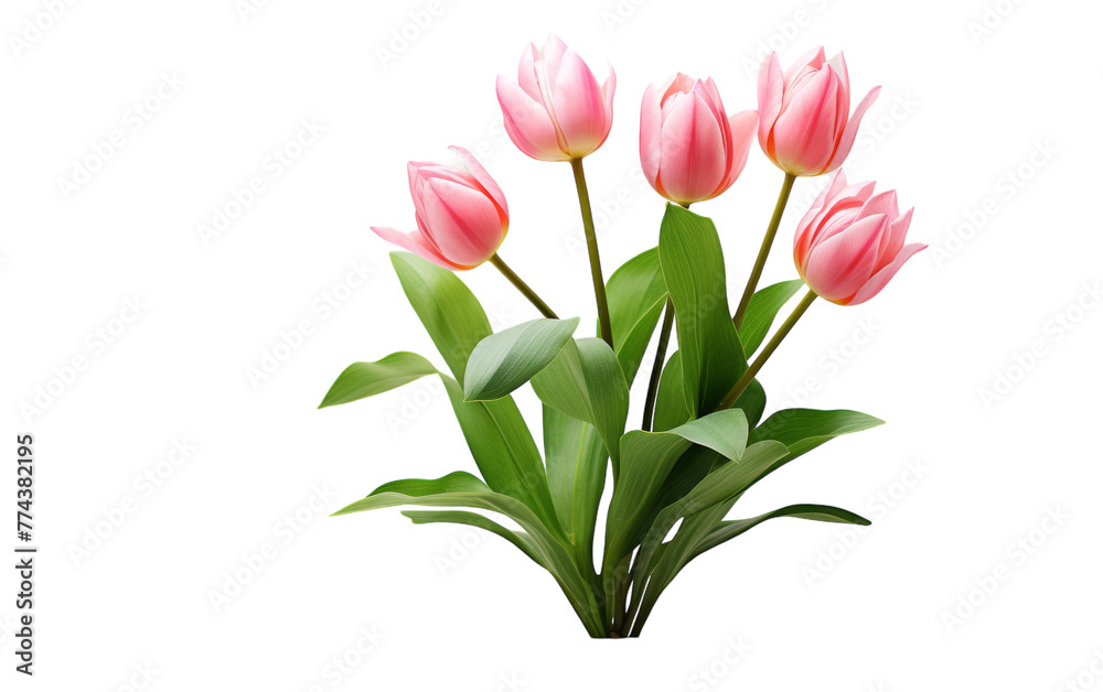 A vibrant bunch of pink flowers dances among lush green leaves in a whimsical display of natures beauty A vibrant bunch of pink flowers dances among lush green leaves in a whimsical display of natures beauty