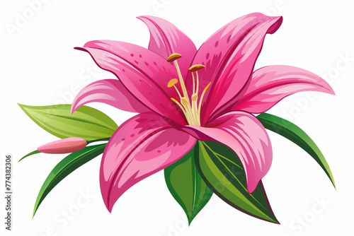 create a realistic flowers of lily in shocking pink color