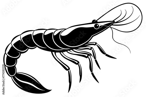 shrimp vector illustration